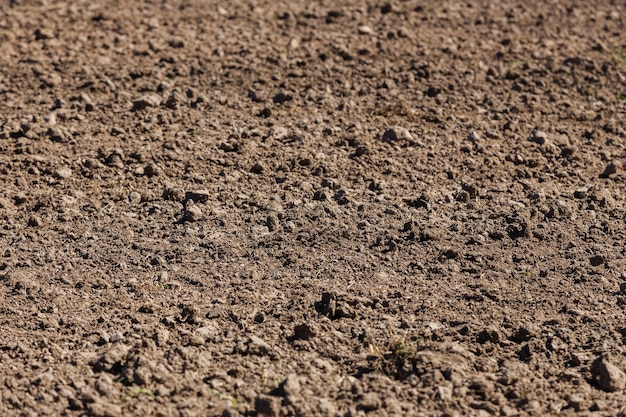 Plowed agriculture field Empty ground in spring day