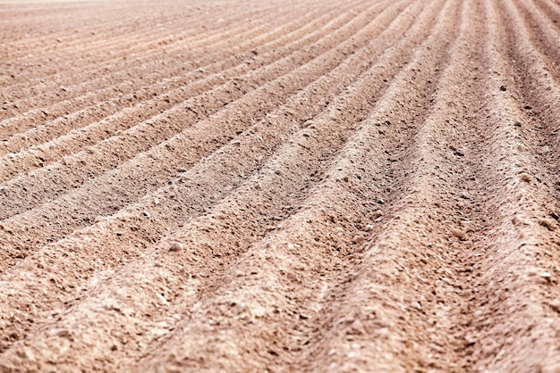 Plowed field furrows