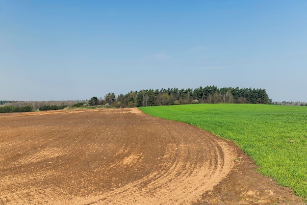 the plowed soil during preparation for sowing agricultural plants the field on which the plants were planted