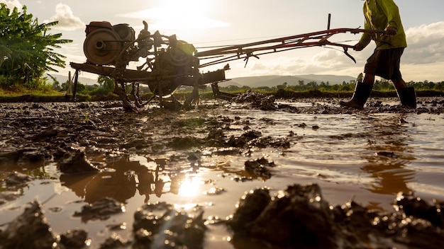 Plowing in mud of rice field on plantation season