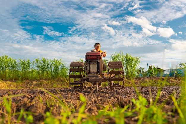 Plowing in mud of rice field on plantation season