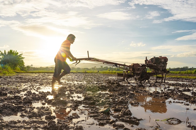 Plowing in mud of rice field on plantation season