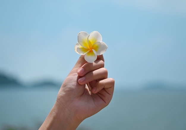 Plumeria in hand against the backdrop of the sea Calm and relax with the concept of the seasky and sea Blue is a beautiful view