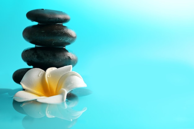 Plumeria and pebbles on water against blue background