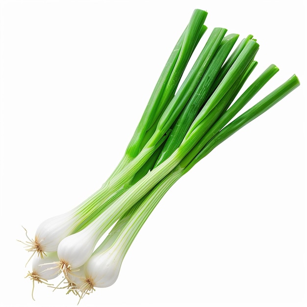 PNG Green onion isolated on white background transparent