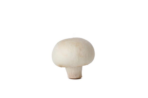 Photo png whole fresh peeled champignon isolated on white background