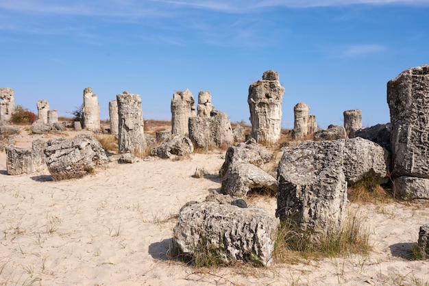 Pobiti Kamani The Stone Forest Natural Reserve near Varna in Bulgaria