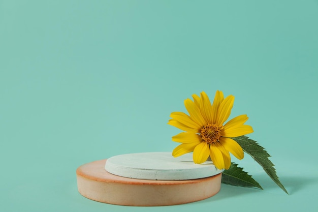 Podium concrete yellow flower presentation of packaging cosmetics on blue background