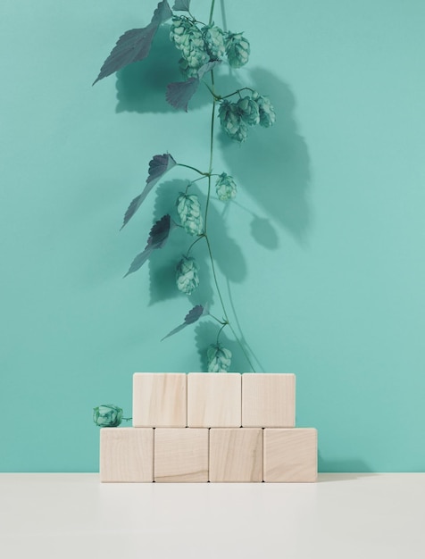 Podium from wooden cubes and a branch with green leaves Stage for the demonstration