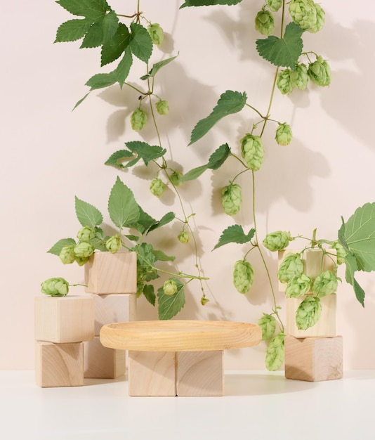 Podium from wooden cubes and a branch with green leaves Stage for the demonstration