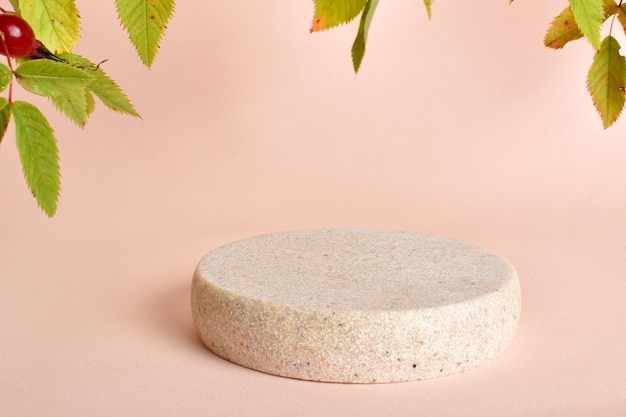 Podium made of stone with rosehip leaves for product presentation Minimalistic scene of a fallen tree with a multicolored branch