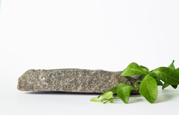 Podium on a white background with leaves Natural stonescene of cosmetic products presentation