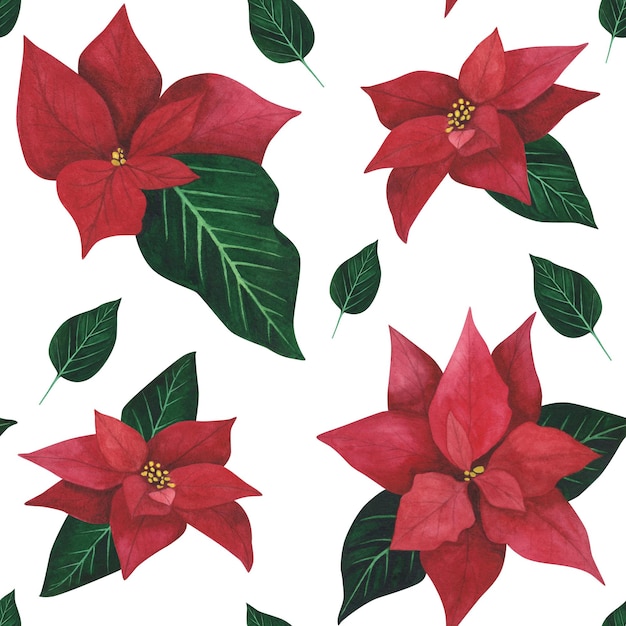 Poinsettia Christmas seamless pattern isolated on white background Watercolor hand drawn illustration Art for design