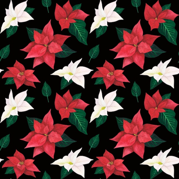 Poinsettia red white Christmas seamless pattern isolated on black Watercolor hand drawn illustration Art for textiles