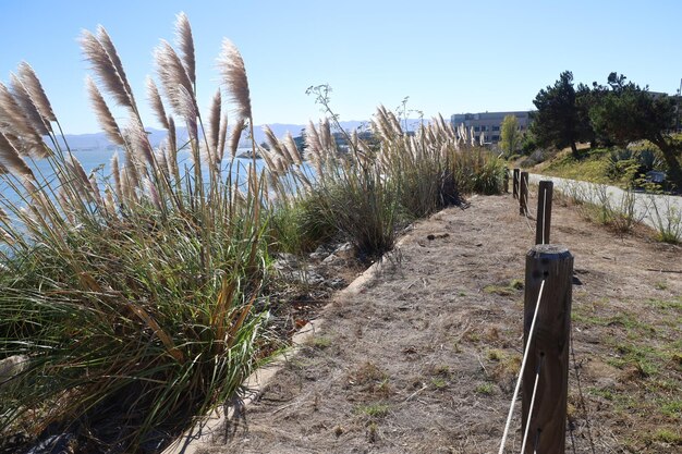 Photo point san bruno california