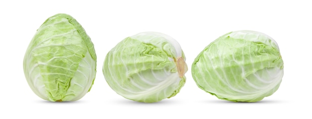 Pointed cabbage isolated on white background