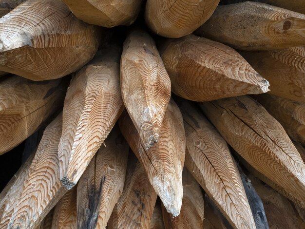 Pointed wood logs pattern