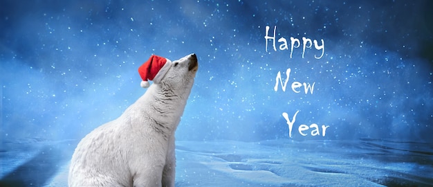 Polar bear wearing Christmas hat, snowflakes and sky. Winter landscape with "Happy New Year" inscription, panoramic image