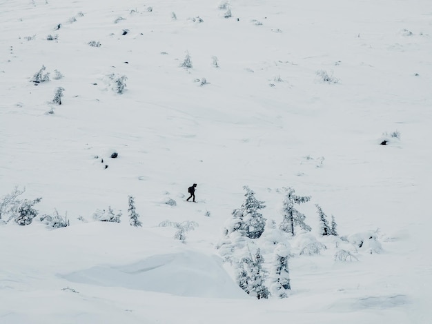 Polar expedition Small silhouette a lonely traveler on snowshoes walks along a snowy slope Severe northern weather clear visibility