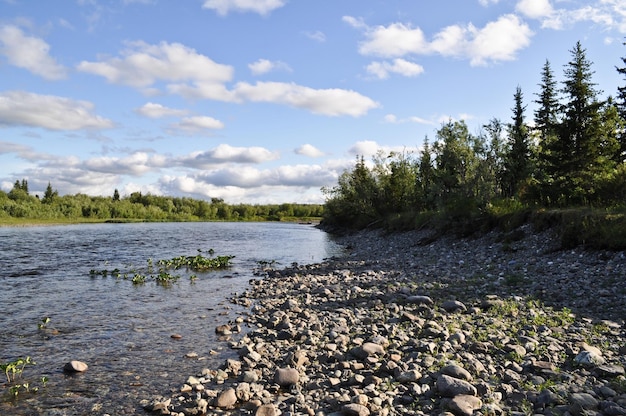 The polar Urals Pebble river banks