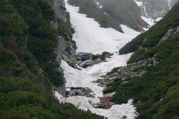 Polish Tatra mountains