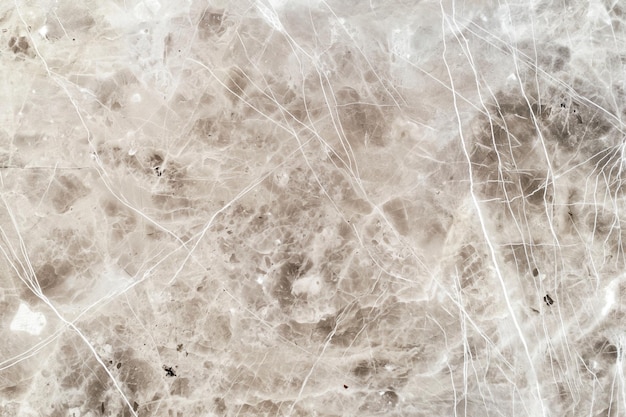 Photo polished beige marble with fine white veins and earthy tones