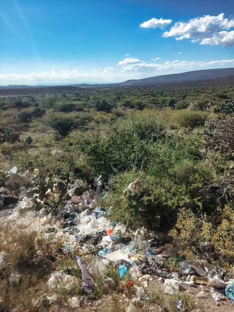 Polluted open field with a lot of garbage