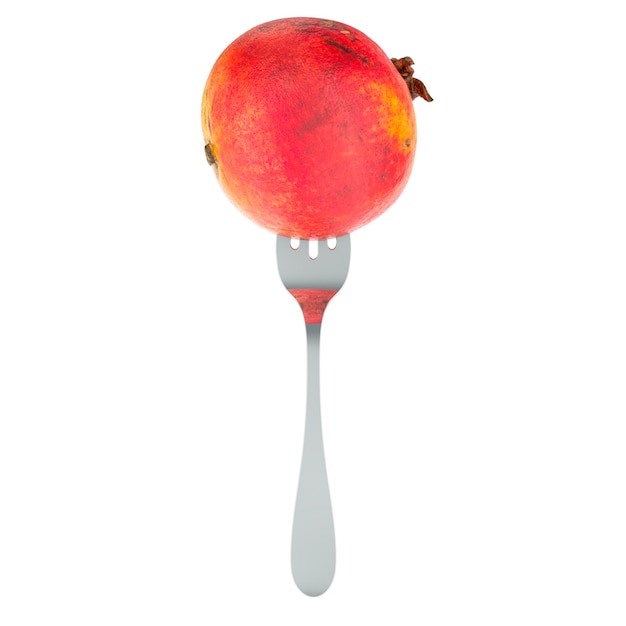 Pomegranate on fork 3D rendering