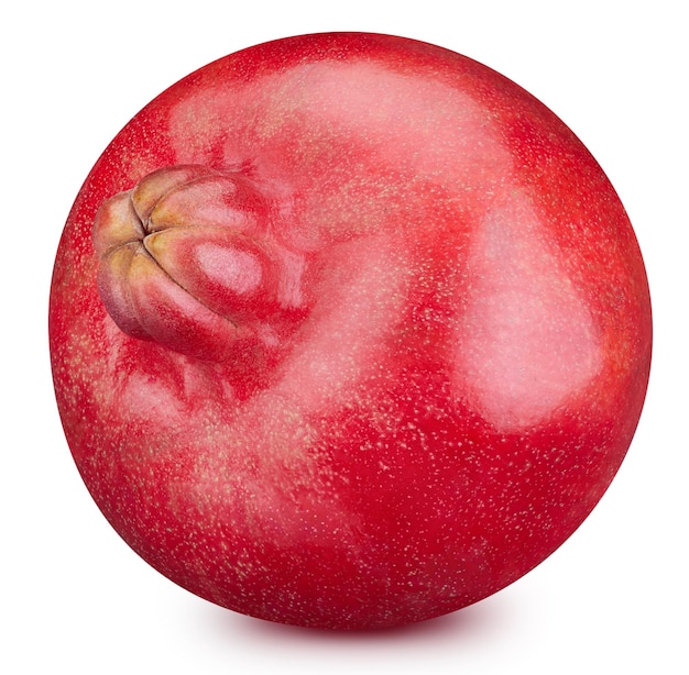 Pomegranate fruit isolated