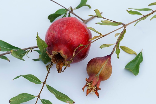 A pomegranate with a green leaf on it