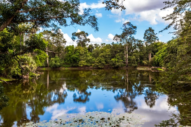 Pond in Angkor Wat temple complex Siem Reap Cambodia