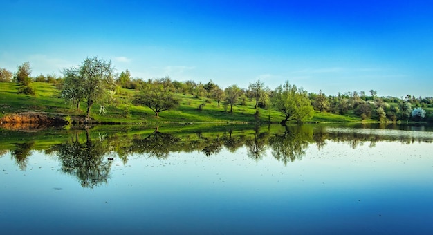 A pond in the countryside The blue sky is reflected in the clear water