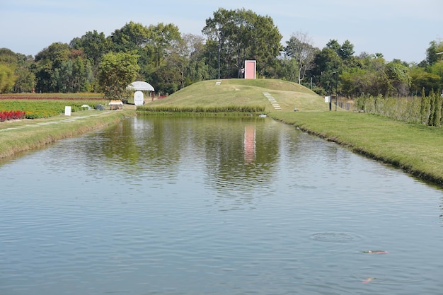 Pond and green grass in the park