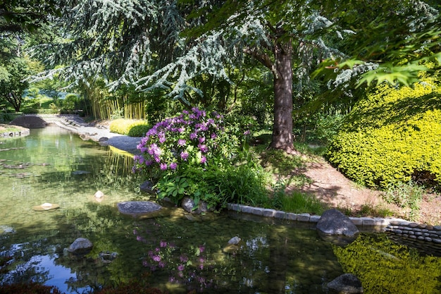 Pond in a japanese garden