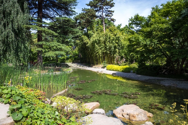 Pond in a japanese garden