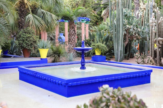 Pond in Majorelle Garden in Marrakech Morocco