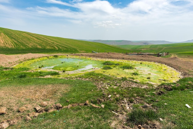 Pond overgrown with mud in the field