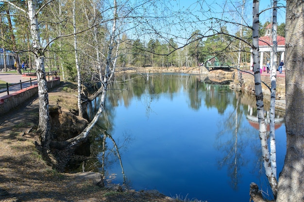 pond in the park on a sunny spring day