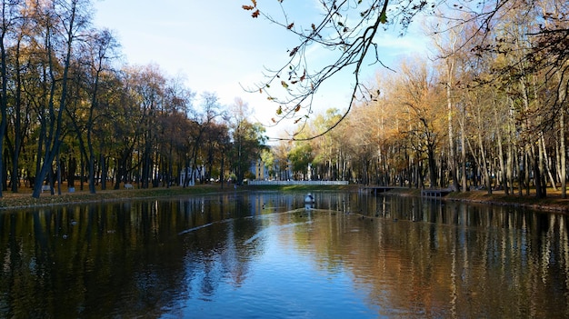 Pond with ducks in autumn city park with yellow trees on a sunny day.