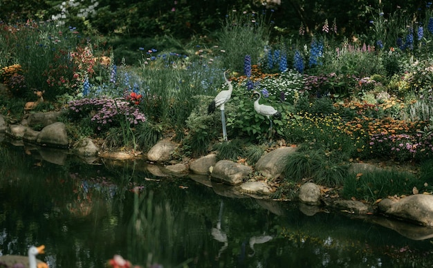 A pond with flowers and birds in the foreground