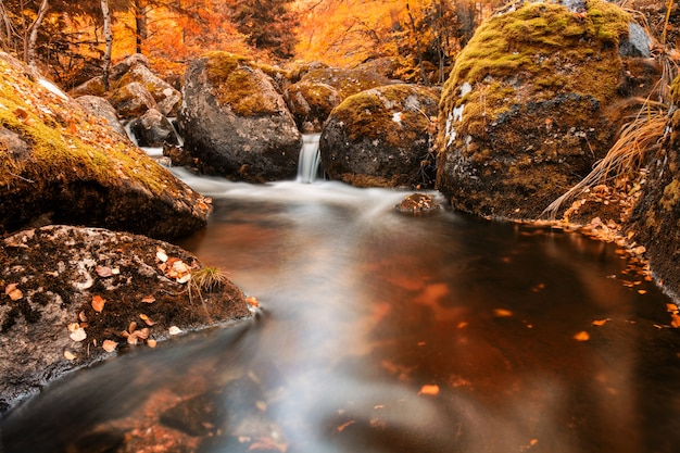 Pond with a small waterfall flowing into it in the fall with fallen colorful leaves