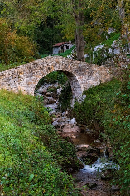 Poo de Cabrales medieval bridge, Asturias, Spain 