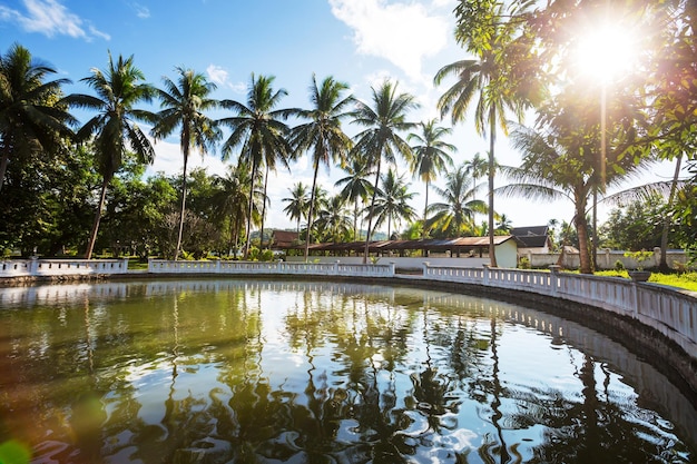 Pool in garden