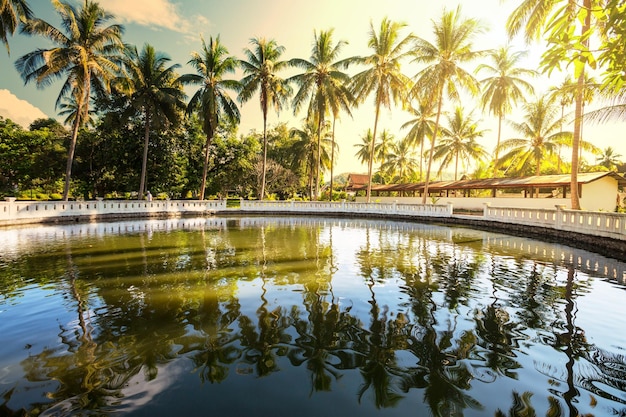 Pool in garden