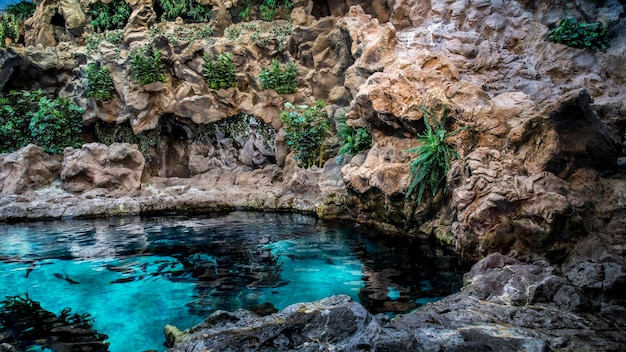 A pool of water in a cave with a blue sky and trees in the background.