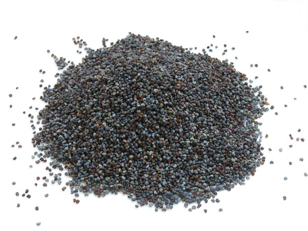 Poppy seed an oil seed obtained from the opium poppy (Papaver somniferum)