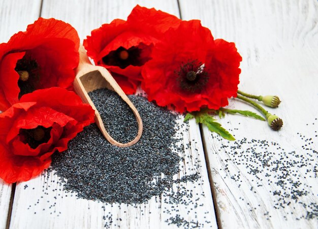 Photo poppy seeds and flowers