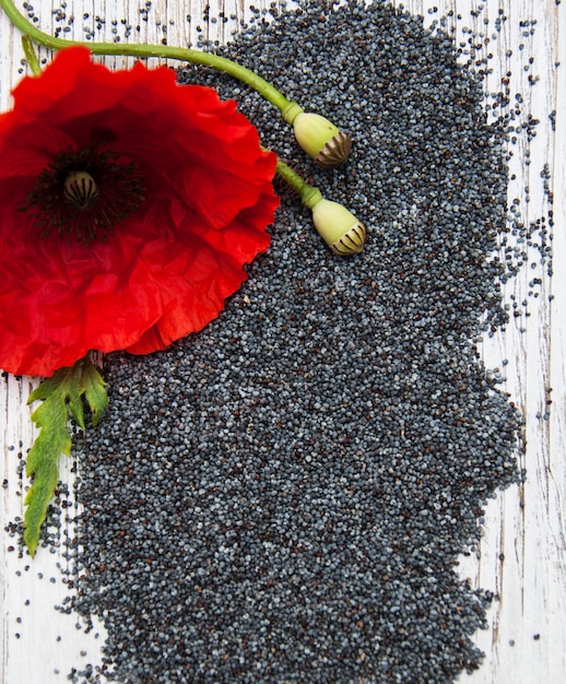 Photo poppy seeds and flowers