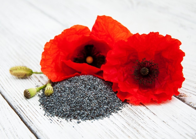 Photo poppy seeds and flowers