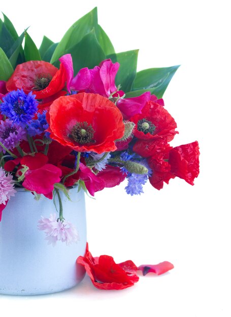 Poppy, sweet pea and corn flowers in pot   isolated